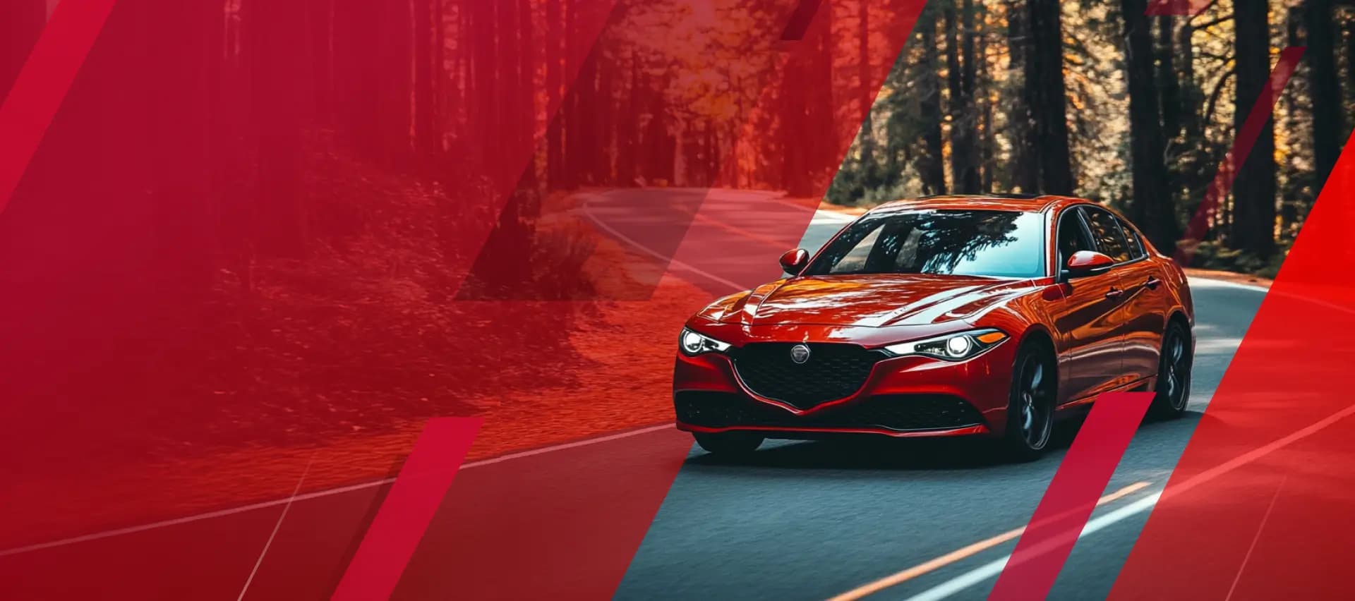 car banner